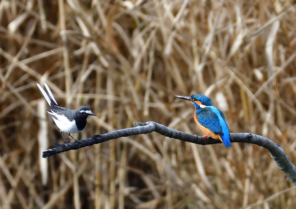 いつもの公園で　１/１７❺
