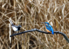 いつもの公園で　１/１７❺