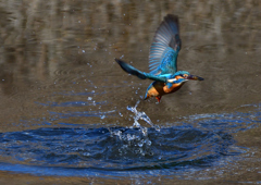 いつもの公園で　１/２５❹