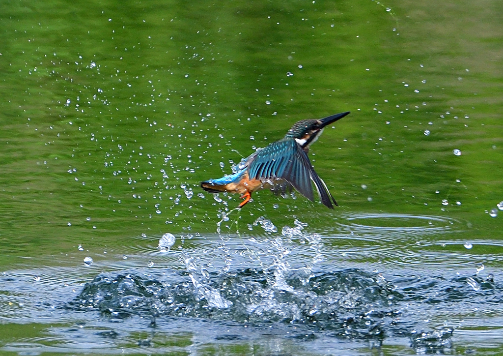 いつもの公園で　１０/６❺