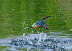 いつもの公園で　１０/６❺