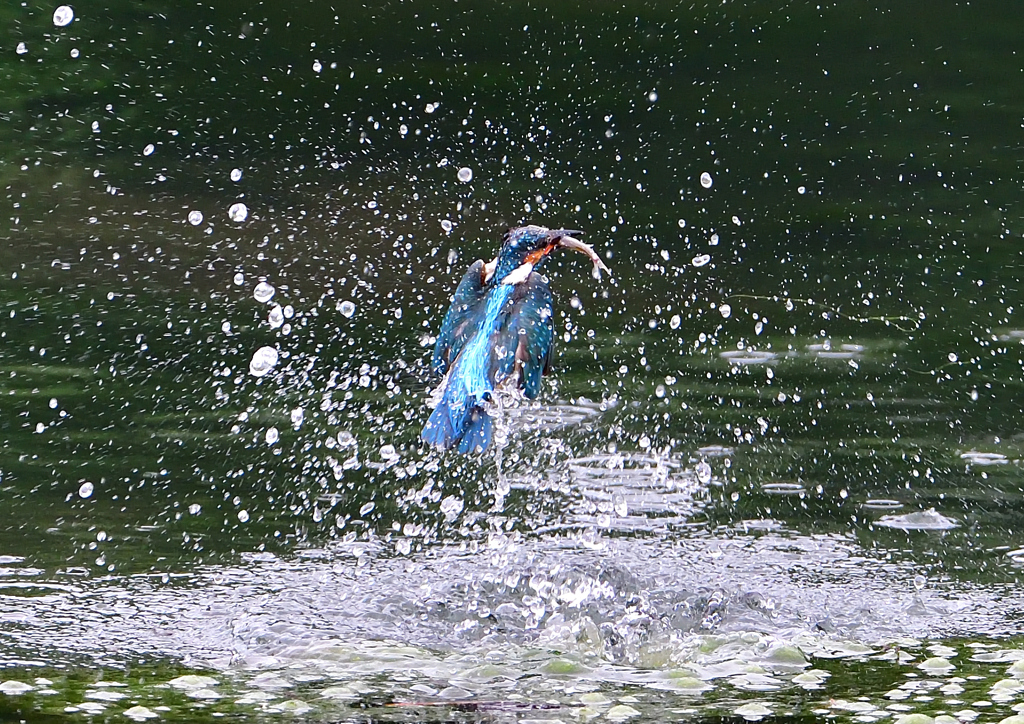 水飛沫　７/１５➂