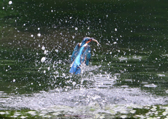 水飛沫　７/１５➂