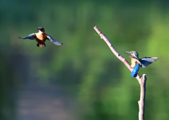 いつもの公園で　８/１６⓫