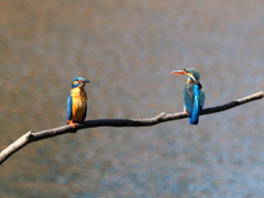 カップル誕生・・・・❔　３/６❶