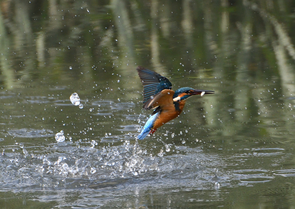 _191102_094329 DSC_8881