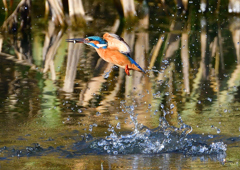 いつもの公園で　12／12❹
