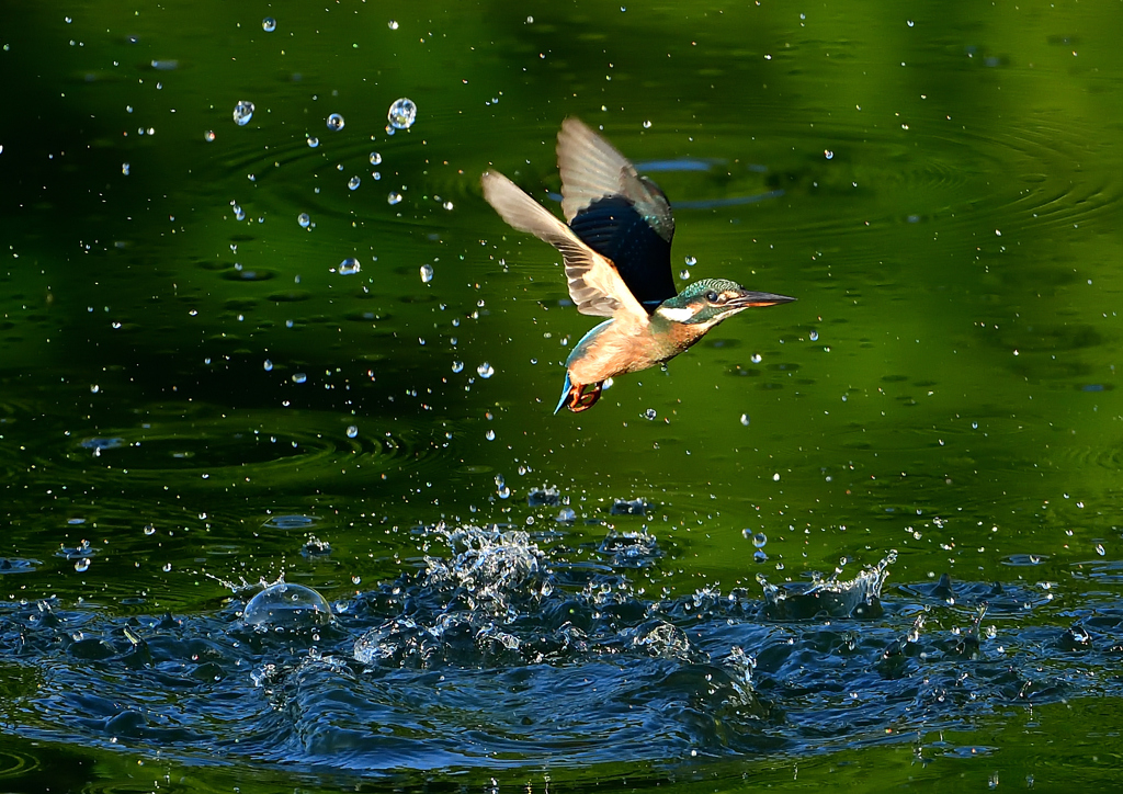 いつもの公園で　８/１７④