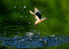 いつもの公園で　８/１７④