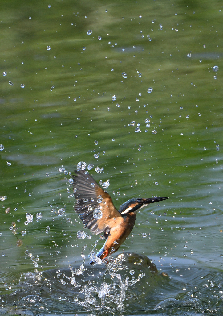 水飛沫　９/１０❷