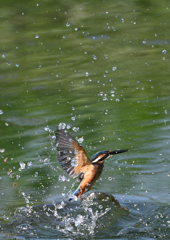 水飛沫　９/１０❷