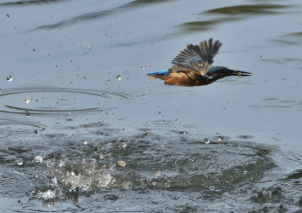 水飛沫　９/９❷