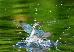 いつもの公園で　８/１４❹