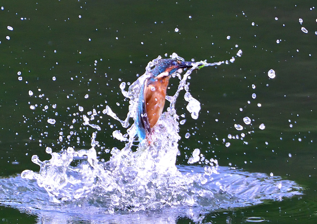 いつもの公園で　９/１９❺