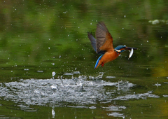 いつもの公園で　１０/２２❷