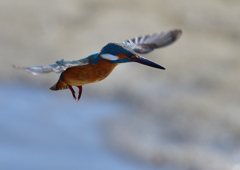 ホバリング　２/１１❷