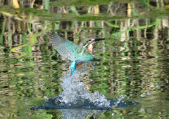 水飛沫　８/１０❹