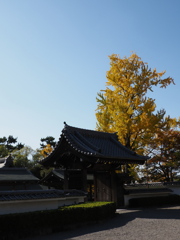 岡崎公園　１１/１４❶