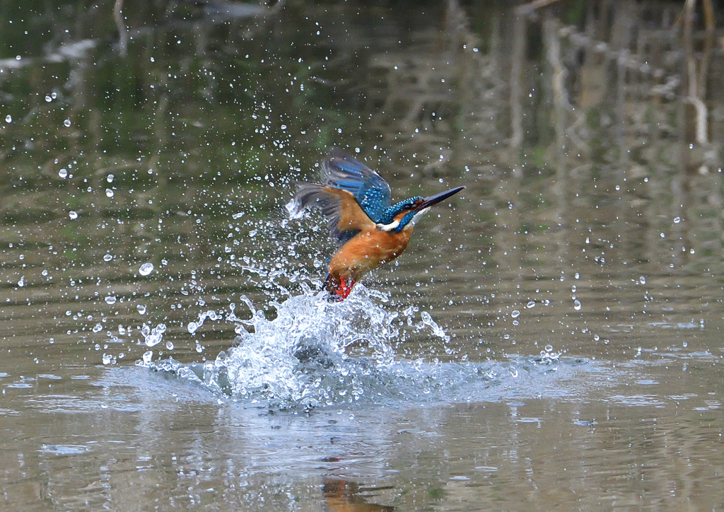 水飛沫　４/１❹