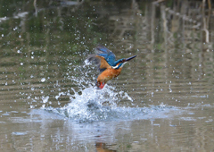 水飛沫　４/１❹