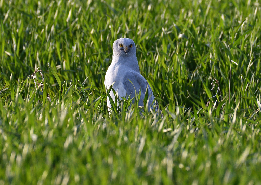 _190318_171339 DSC_8066