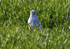 _190318_171339 DSC_8066