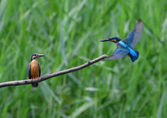 いつもの公園　７/２１➉