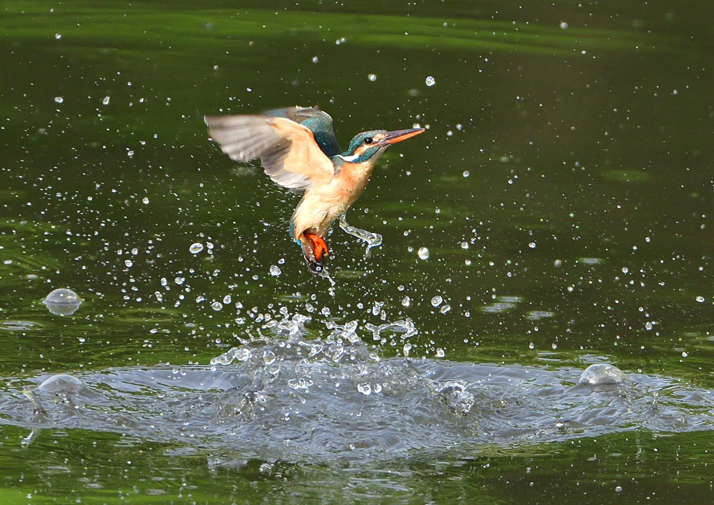 水飛沫　５/１３❸