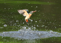 水飛沫　５/１３❸