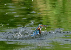 いつもの公園で　９/２６❹