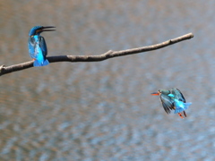 カップル誕生・・・・❔　３/６❷