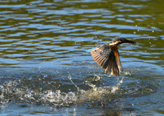 水飛沫　９/１２❷