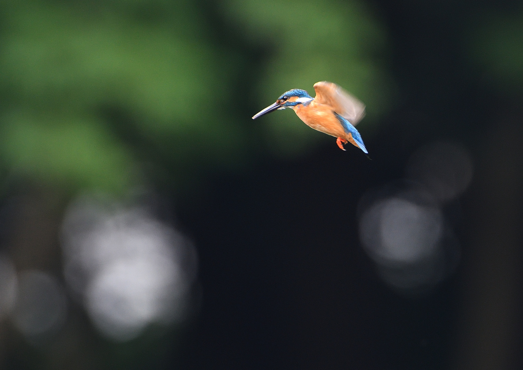 3回目のホバ　７/８