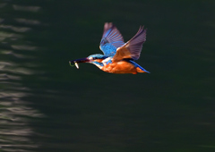 いつもの公園で　１０/６❸