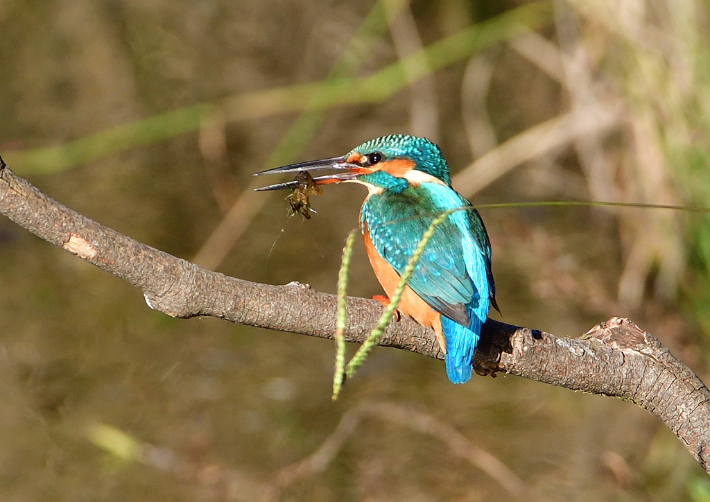 いつもの公園で　１１/２１❾