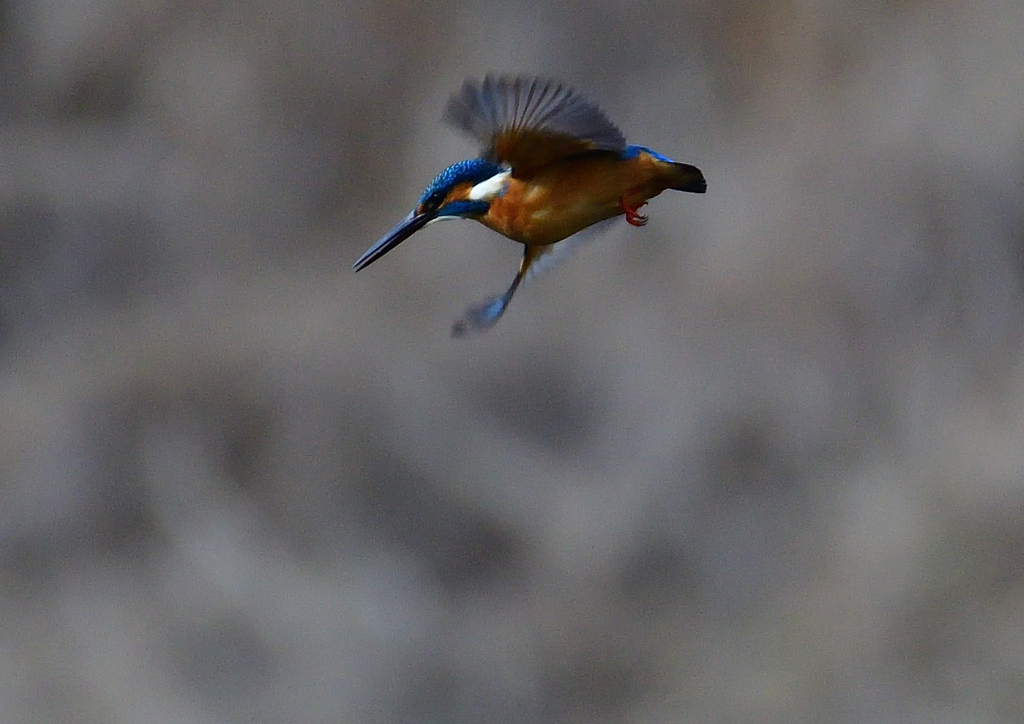 いつもの公園で　1／5❹