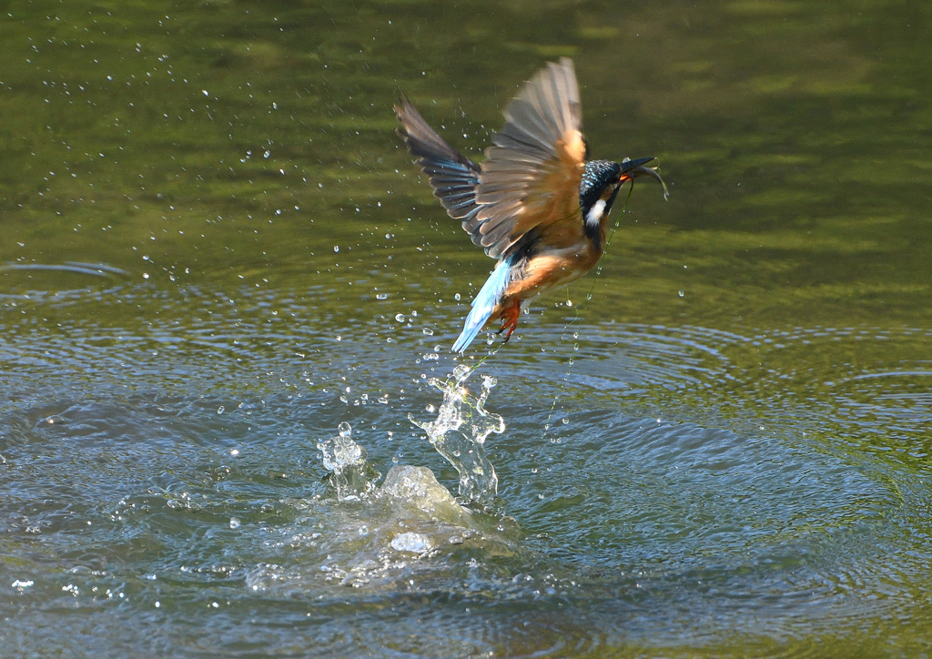 水飛沫　９/１２❹