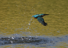 _191009_082455 DSC_9087