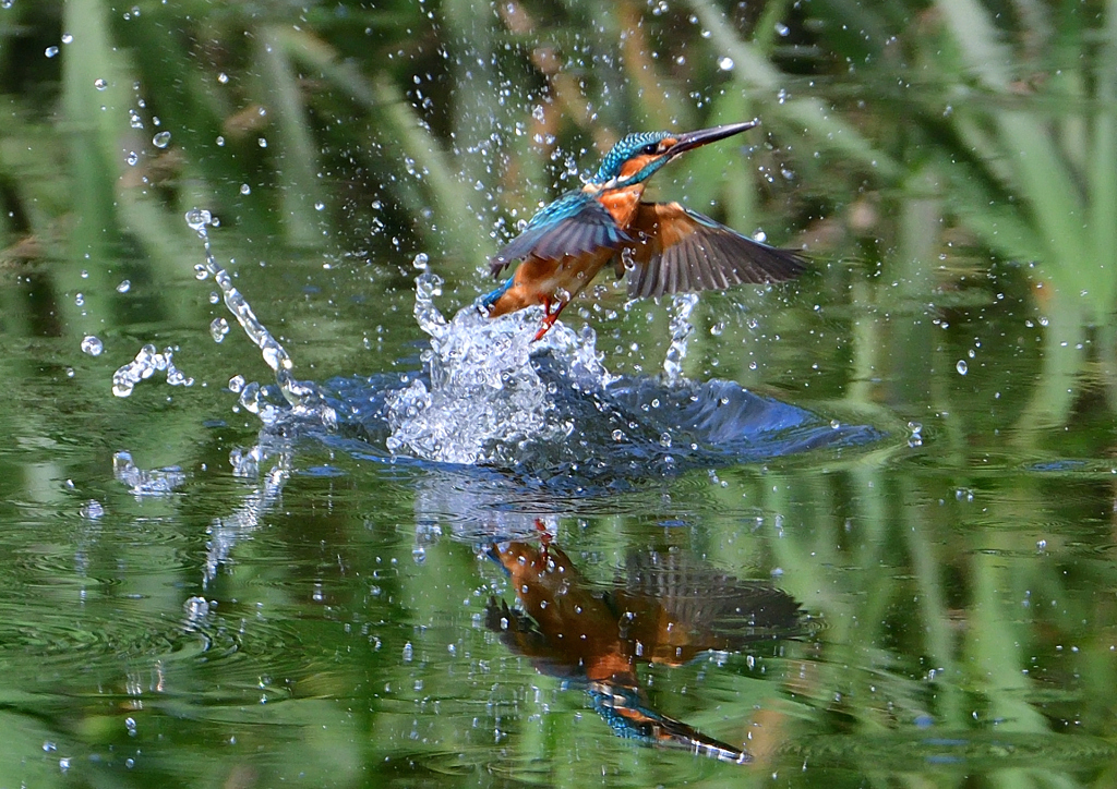 いつもの公園で　９/１２❹