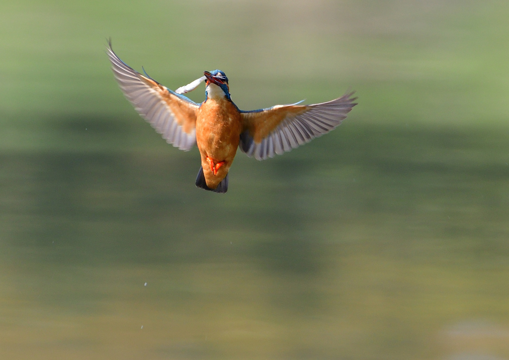 止まり木へ　４/８❶