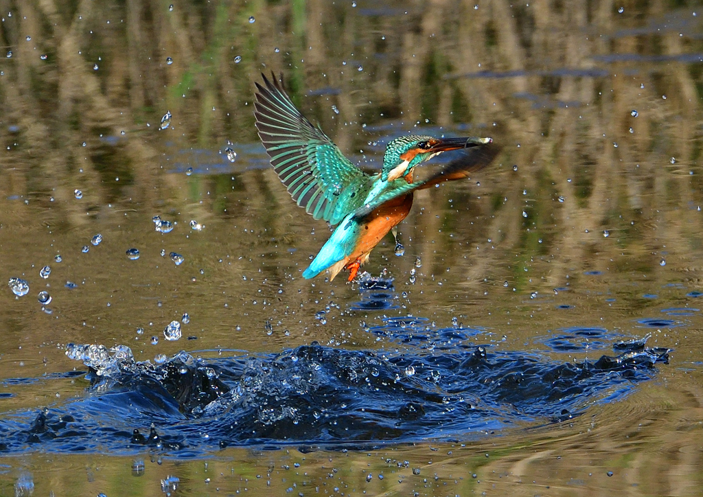 いつもの公園で　１０/２９❼