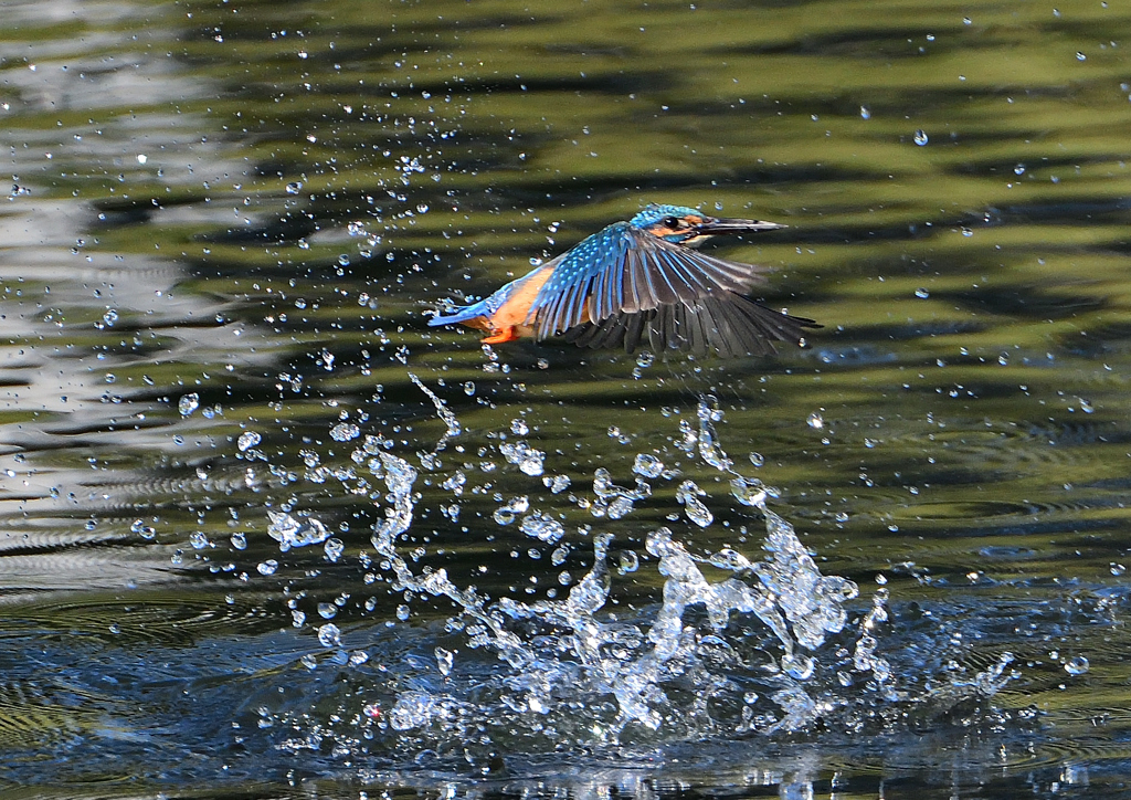 水飛沫　１０/１５❺