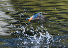 水飛沫　１０/１５❺