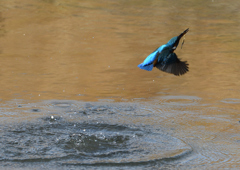 _190125_092953 DSC_6294