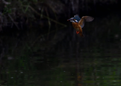 ホバリング　６/２❶