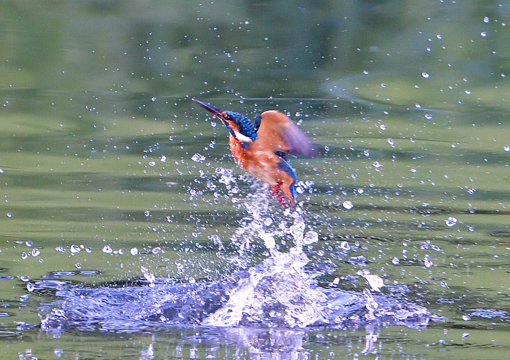 いつもの公園で　９/５❸