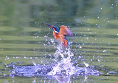 いつもの公園で　９/５❸