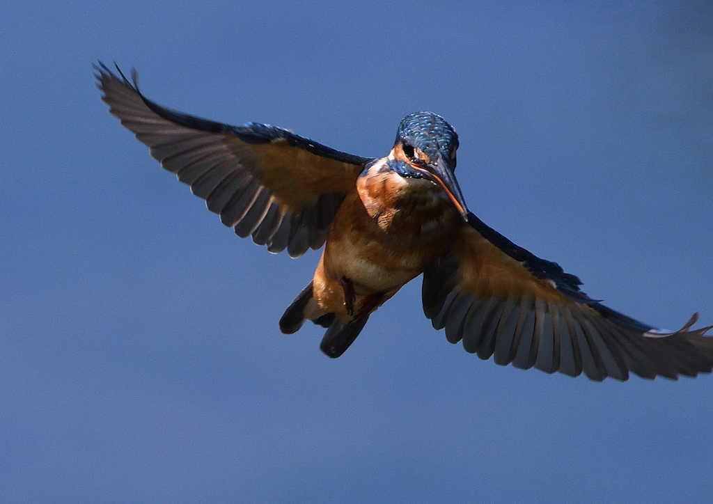緩急自在　９/３❼