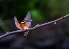 いつもの公園で　９/８❷
