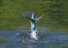 水飛沫　９/１２❺